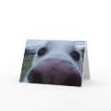 Puppy Dog Face cards by janawhoop Puppy Dog Face cards