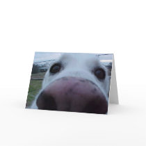 Puppy Dog Face cards by janawhoop Puppy Dog Face cards