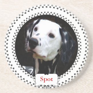 Puppy Dog Photo Coaster coaster