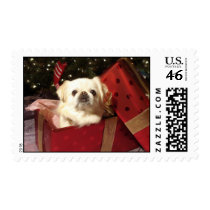 Puppy Dog Present Postage Stamp