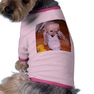 Puppy Dog Tee Shirt by traveller9