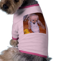 Puppy pet clothing by traveller9 Puppy pet clothing