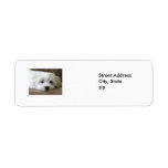 Puppy Eyes Custom Return Address Labels