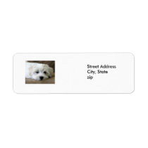 Puppy Eyes Custom Return Address Labels