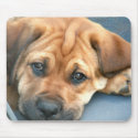 Puppy Eyes Mousepad by aussiepossum Puppy Eyes Mousepad