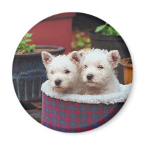 Puppy Friends magnets by White_Wedding Puppy Friends magnets