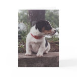 Puppy greeting card