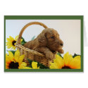 Puppy Greeting Card for All Occasions