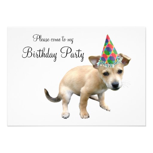 Puppy in Party Hat Birthday Invitation