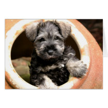 Puppy in Pot Card