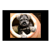 Puppy in Pot posters