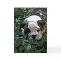 Puppy in the Pansies greeting card by DocWyatt Puppy in the Pansies greeting card
