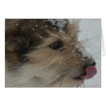 Puppy in the Snow Card