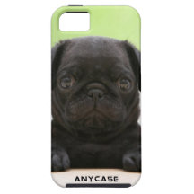 puppy iPhone 5 Case
