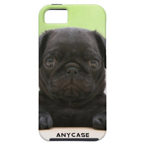 puppy iPhone 5 Case