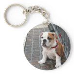 puppy keychain