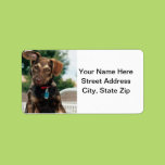 Puppy Personalized Address Labels