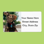 Puppy Personalized Shipping Labels