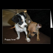 Puppy love! Abby & Kate Card by vegasdusoleil Puppy love! Abby & Kate Card