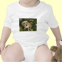 Puppy Love t-shirts