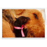 Puppy Love Cards