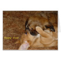Puppy Love cards by Emerald_Fyre Puppy Love cards