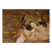 Puppy Love cards