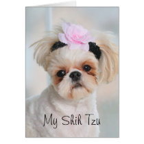 Puppy Love Cards