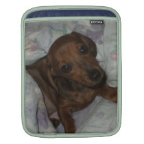 Puppy love computer sleeve ipad sleeves