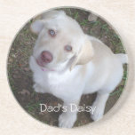 "Puppy Love" Customizable Yellow Lab Puppy Coaster "Puppy Love" Customizable Yellow Lab Puppy Coaster