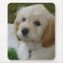Puppy Love - Cute MaltiPoo Dog Photo Mousepads