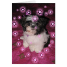 Puppy Love Greeting Cards