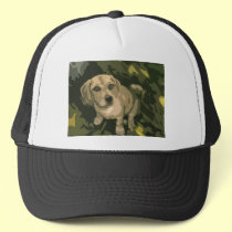 Puppy Love hats
