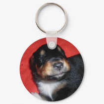 PUPPY LOVE keychains