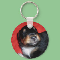 PUPPY LOVE keychains