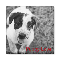 Puppy Love magnets by iiiyaaa Puppy Love magnets