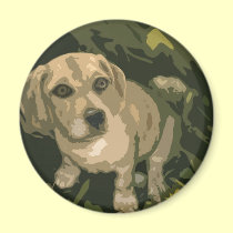 Puppy Love magnets