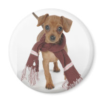 Puppy Love magnets