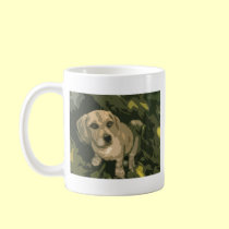 Puppy Love mugs