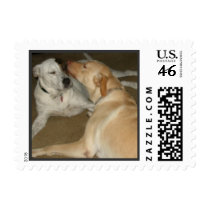 Puppy Love postage