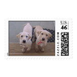 Puppy Love Postage