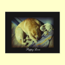 Puppy Love postcards