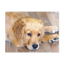 Puppy love! postcard by shawke123 Puppy love! postcard
