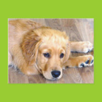 Puppy love! postcard