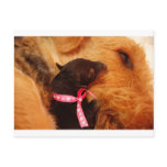 Puppy Love Postcard