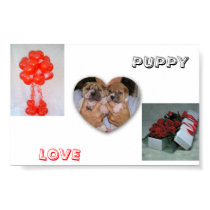 Puppy Love posters