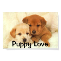 Puppy Love posters
