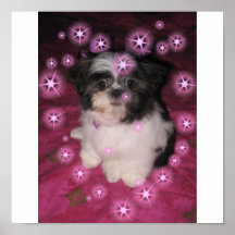 Puppy Love -Poster