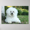 Puppy Love posters