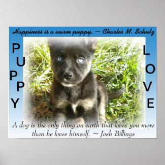 Puppy Love Poster